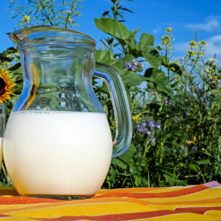 melk zonder melk