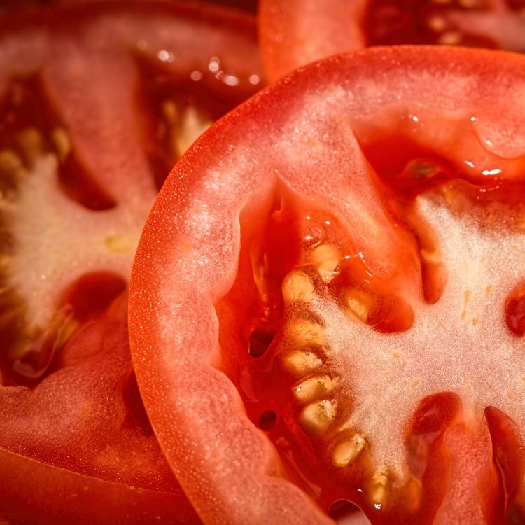 tomato patent