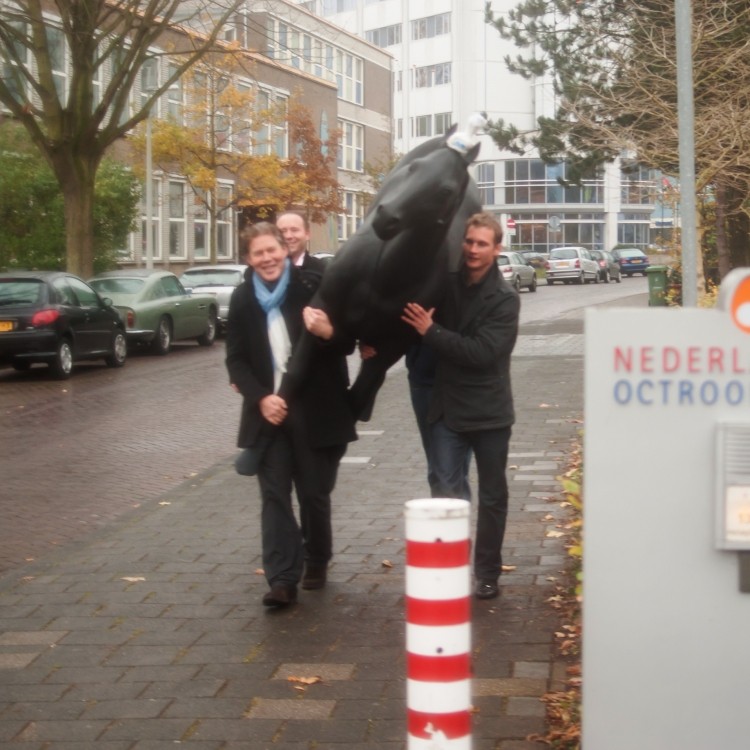 NLO horse-lamp