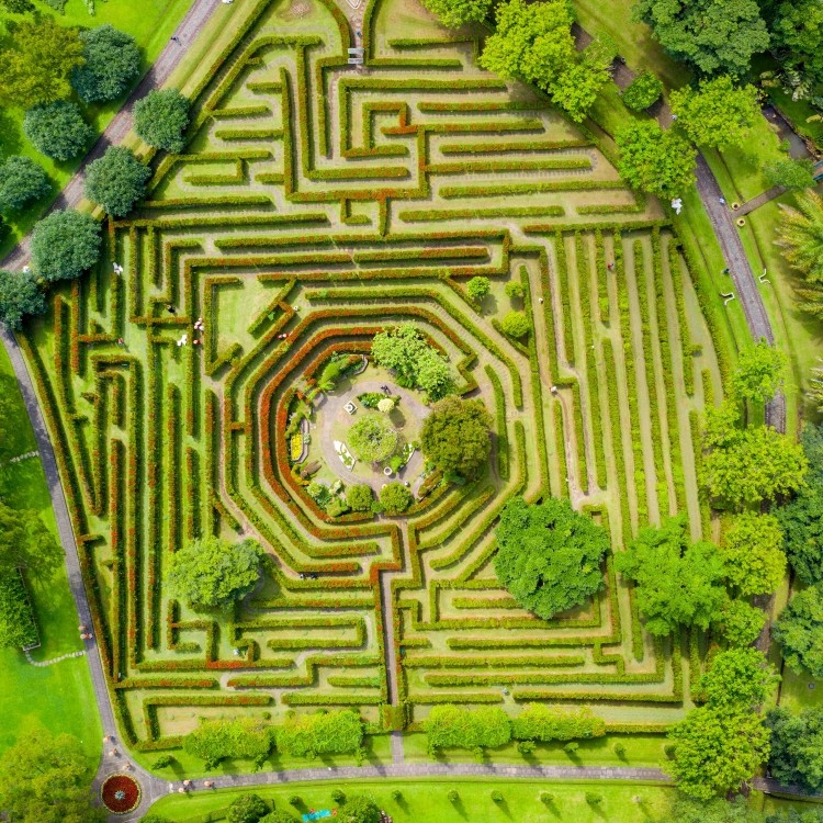 Maze