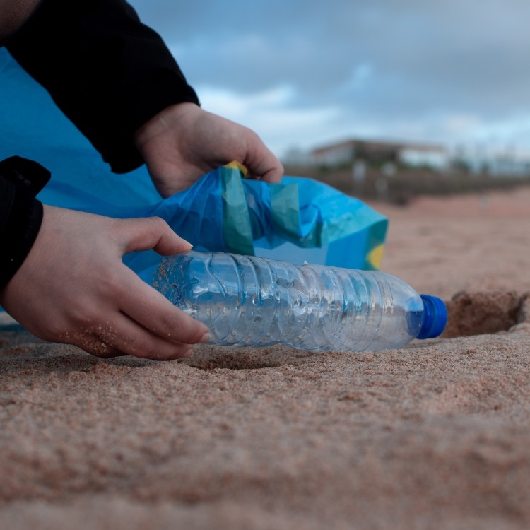 CSR beach cleanup
