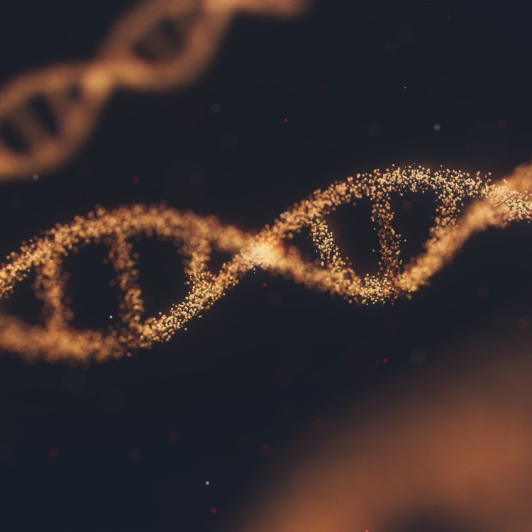 DNA