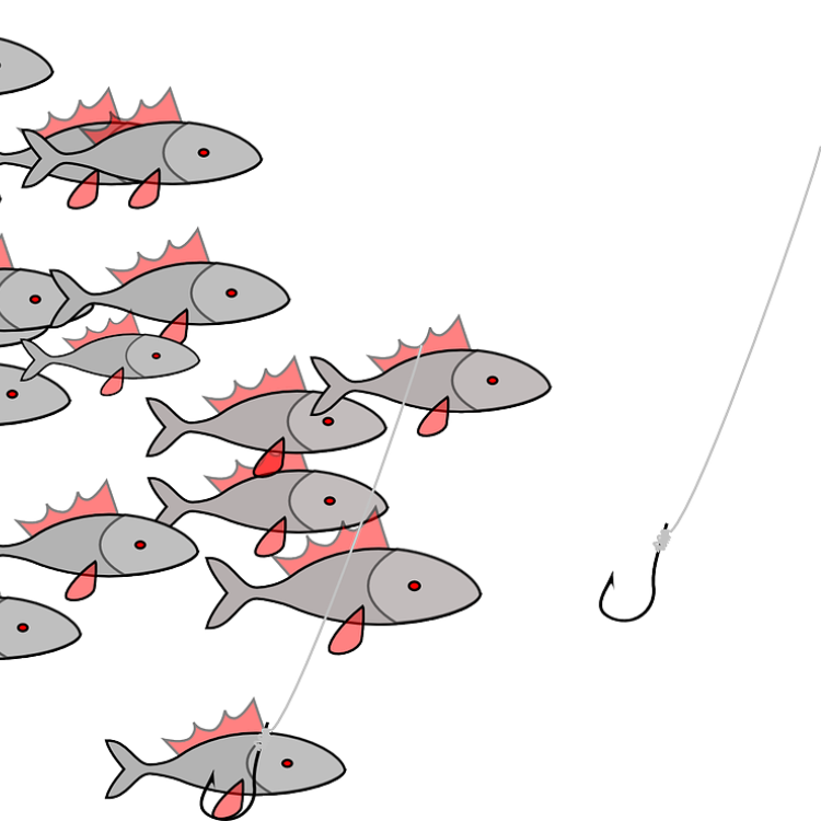fishing