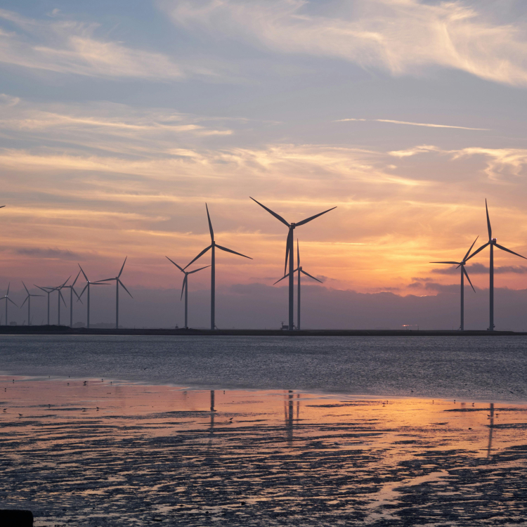 wind turbine