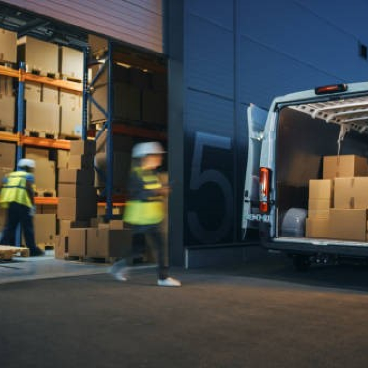 EPO Case Law by NLO experts