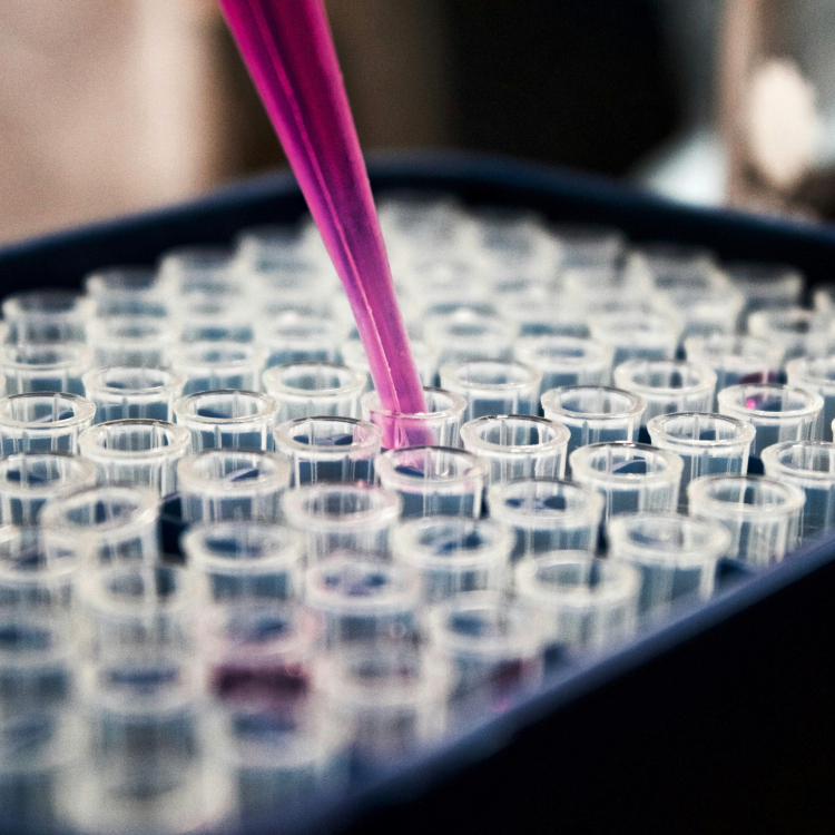 Opportunities for the treatment of rare diseases with already available medicines 