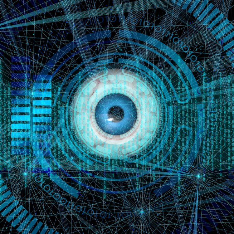 Biometric data display