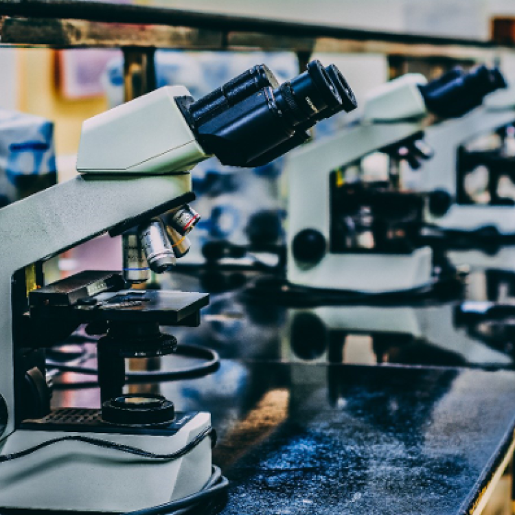 microscopes