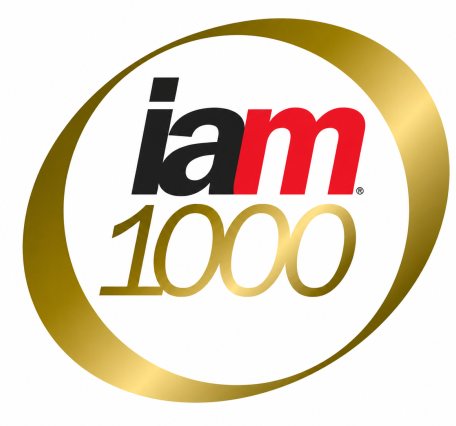 IAM 1000
