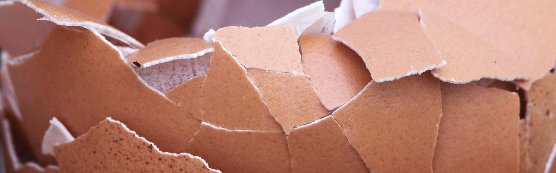 Cracked eggshell