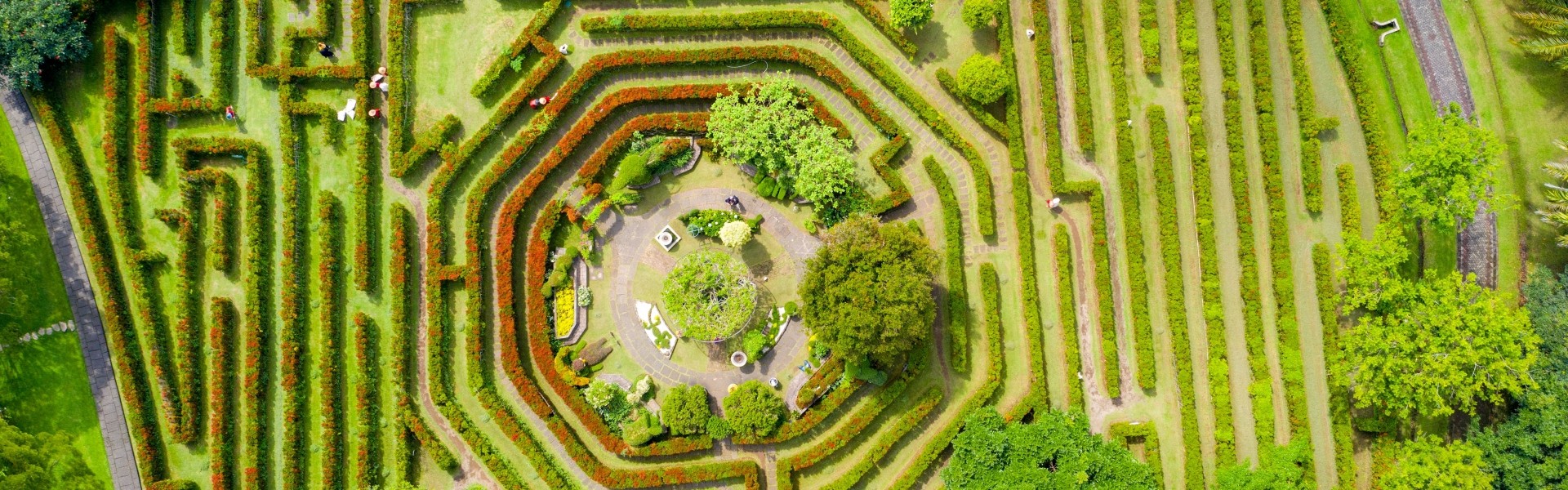 Maze