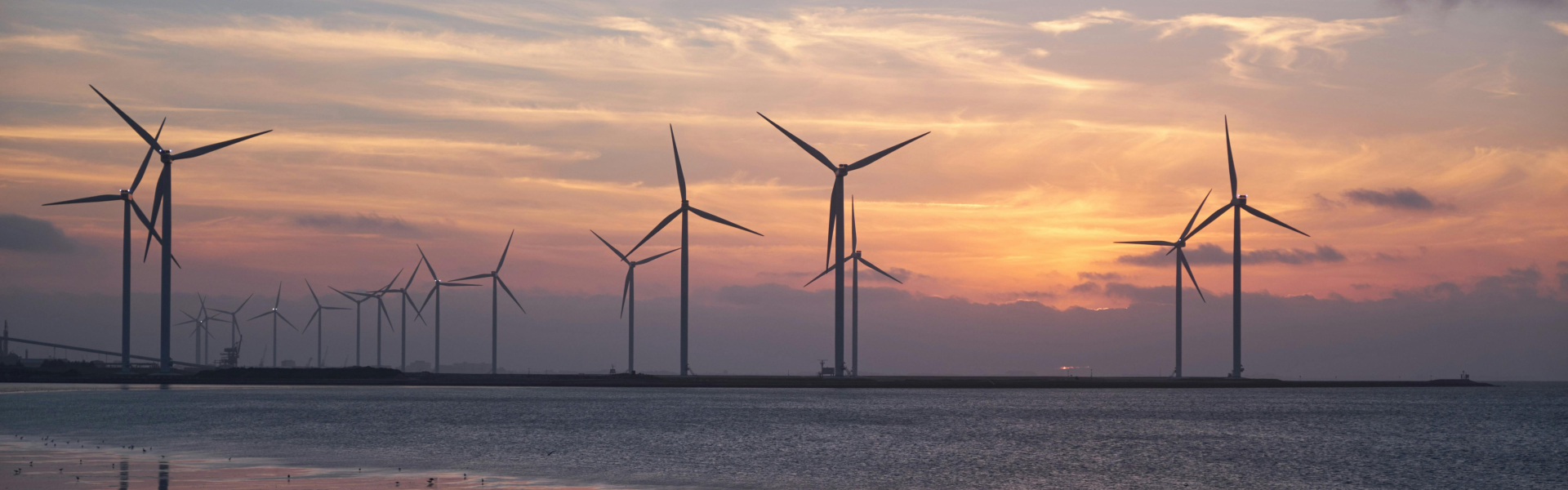 wind turbine