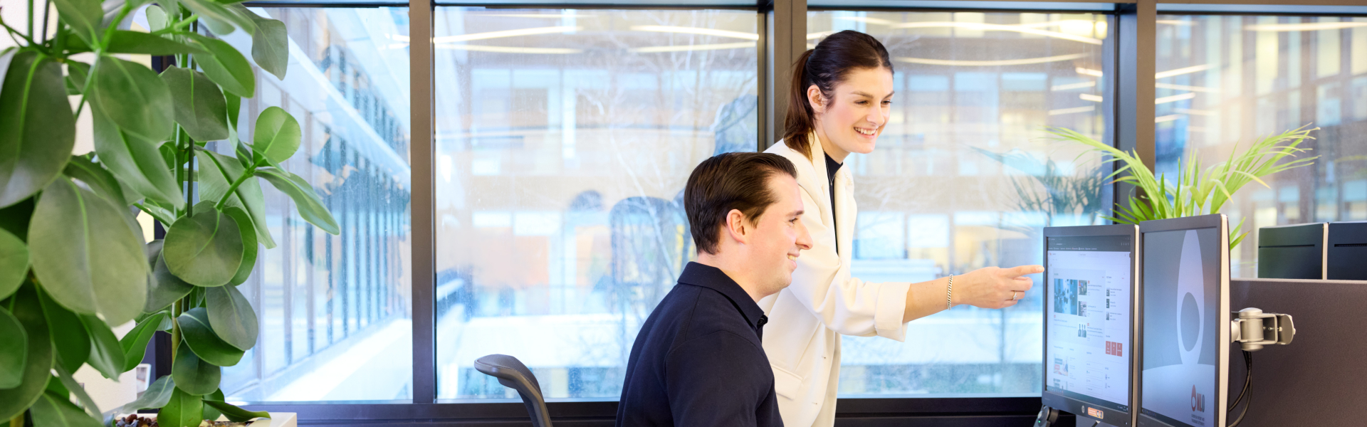 NLO Patent and Trademark Attorneys IP Firm