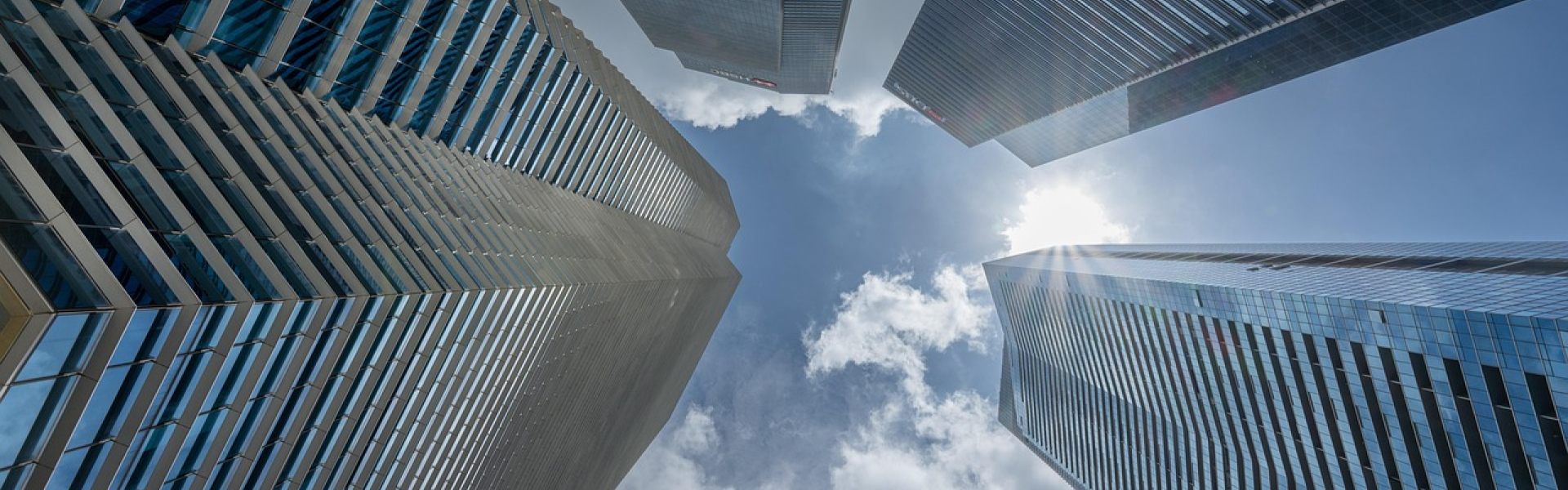 Trademark Article Leon - Banking 
