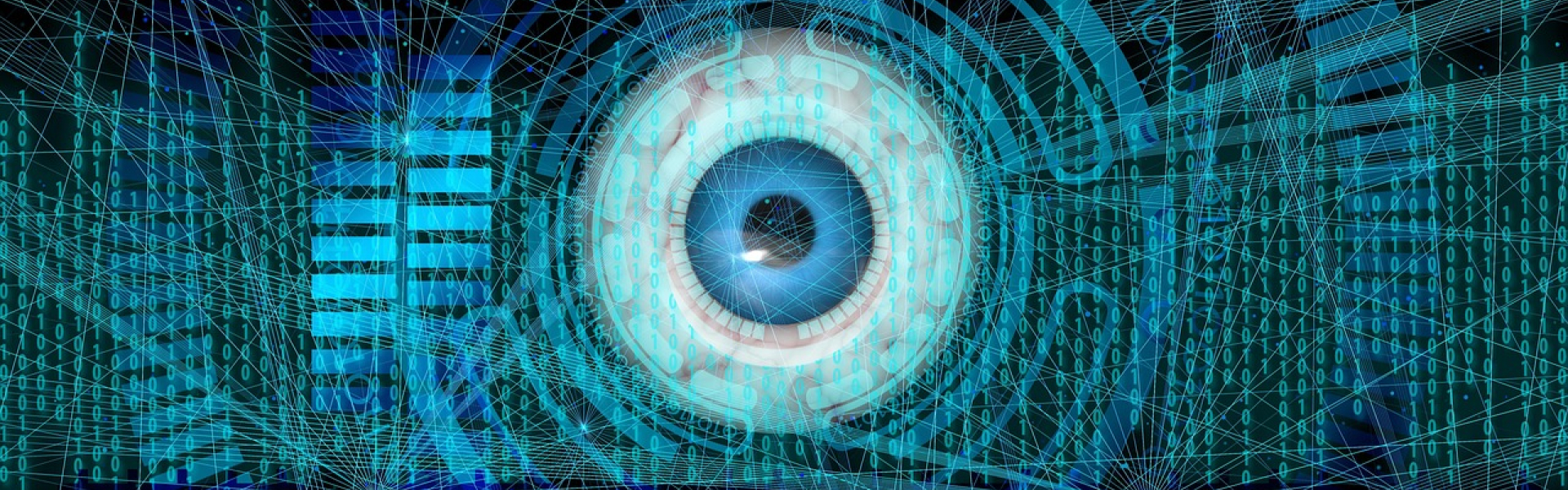 Biometric data display