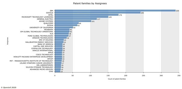 Figure 6: Top 30 companies in the US that own AI patents