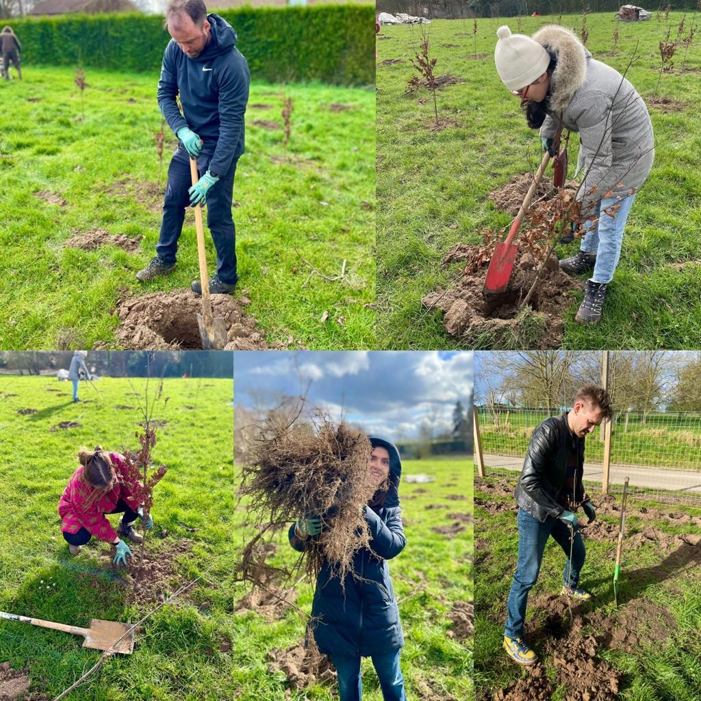 planten boom