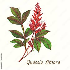 Case Law Summary Malaria Plant and Patenting